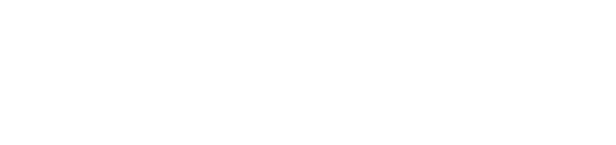 Wtransnet